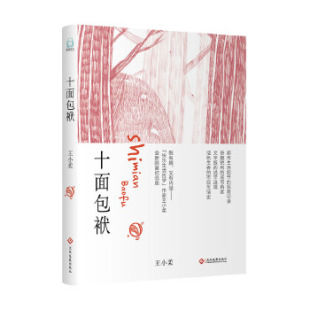 十面包袱王小柔文化发展出版 包邮 书 社 正版