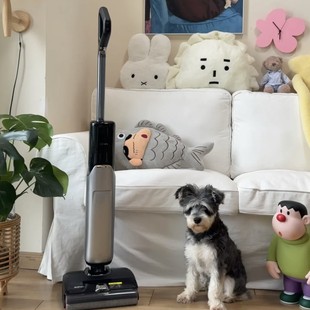 Mova洗地机X40pro添推入式基站 90℃热水喷洗可0缠毛0水渍绿光