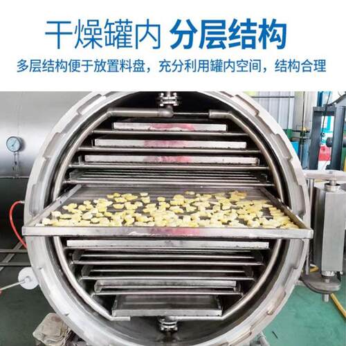 果现低温货水果冻干机 芒果汁真空冻干冻干设备 桃子块FD真厂空冷