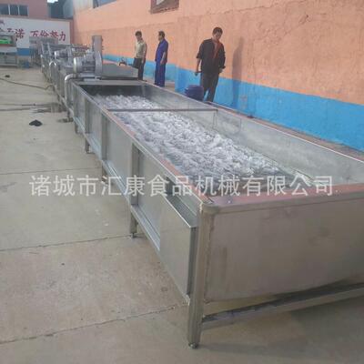 浴式鲜辣椒自动清洗流水水线果气泡清洗机汇康设行备蔬销各VDW地