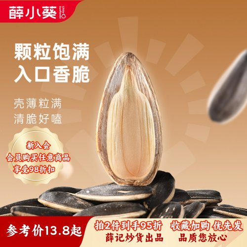 薛小葵2025新货瓜子原味零食薛记