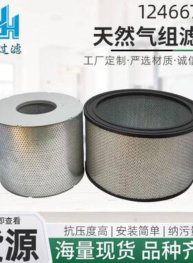 1246670612466707沼气天然气发电机组滤芯