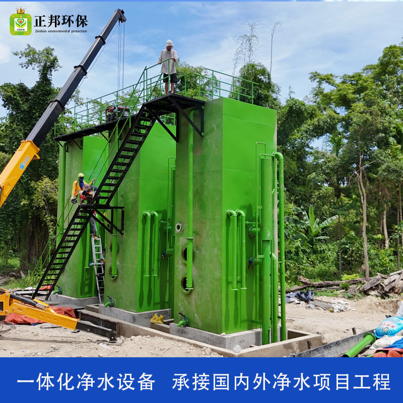 农村生活用水过滤设备村村通人饮工程净水设备山泉水水库水净水器