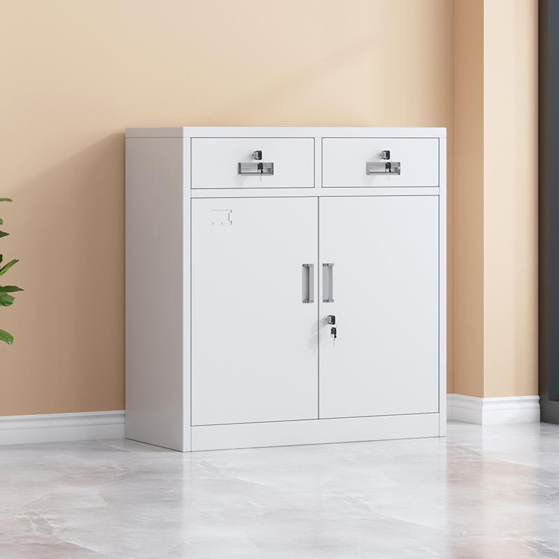 办公室二斗柜文件柜铁皮书柜收纳柜财务凭证档案资料带锁储物柜子