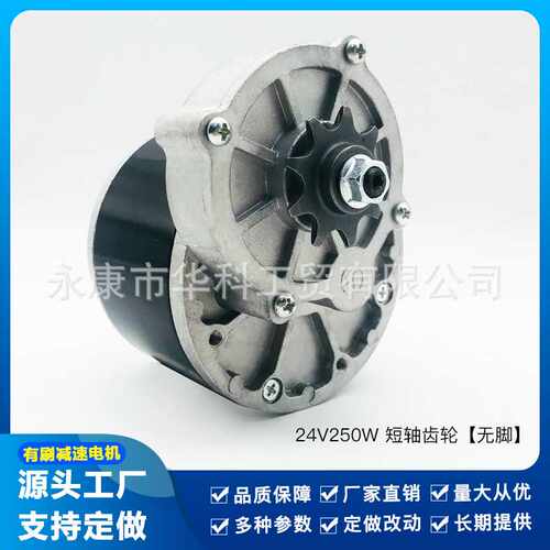 自行车电动车改装机器设备电机24V250W有刷直流减速MY1016Z2电摩