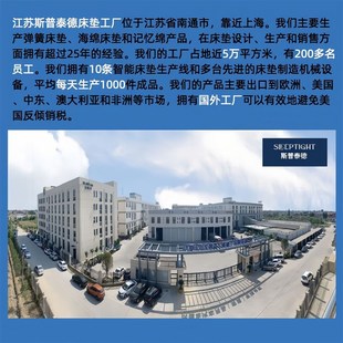 40D零压海绵垫记忆泡沫床垫表层凝胶记忆棉床垫