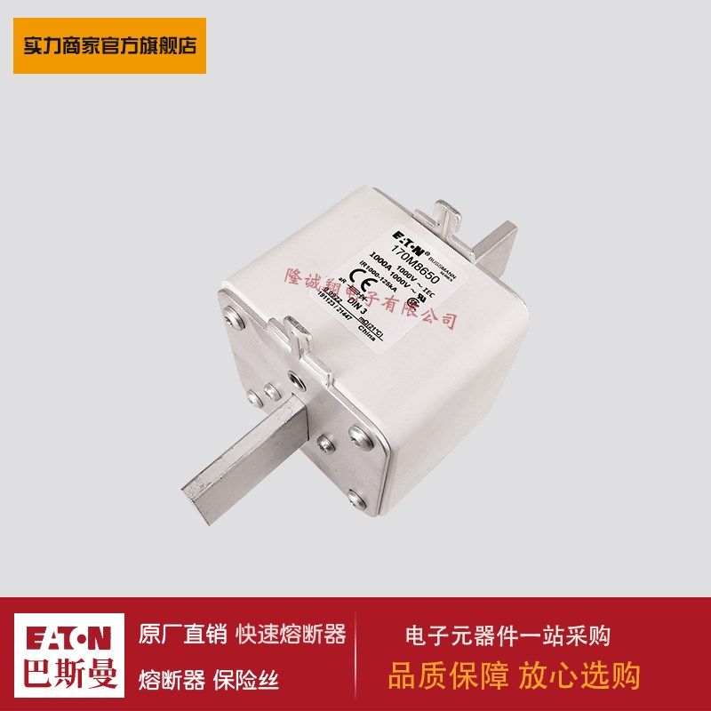 熔断器170M8647 170M8648 170M8649 170M8650 170M7749 170M7969