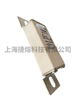 全新原装170M1806 170M1807 170M1808直流快速熔断器  标准封装