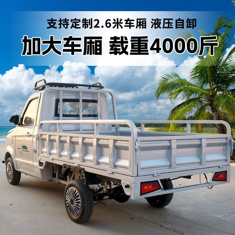 载重王四轮电动货车快递箱货车拉货载货山区大功率油电两用皮卡车