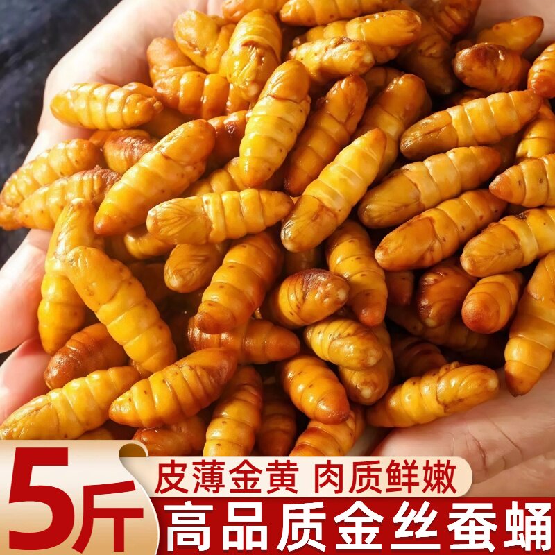 山东金丝蚕蛹冰鲜到家