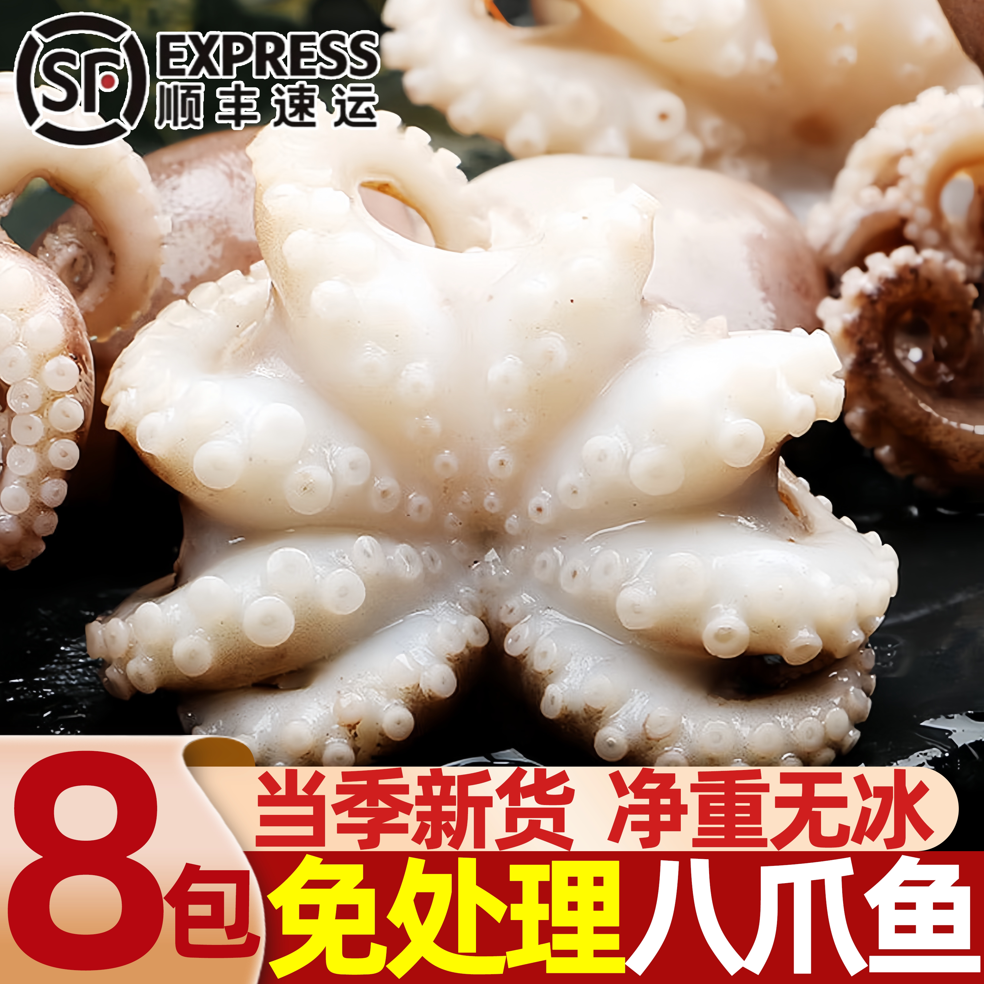 丹东鲜冻爆头迷你小八爪鱼