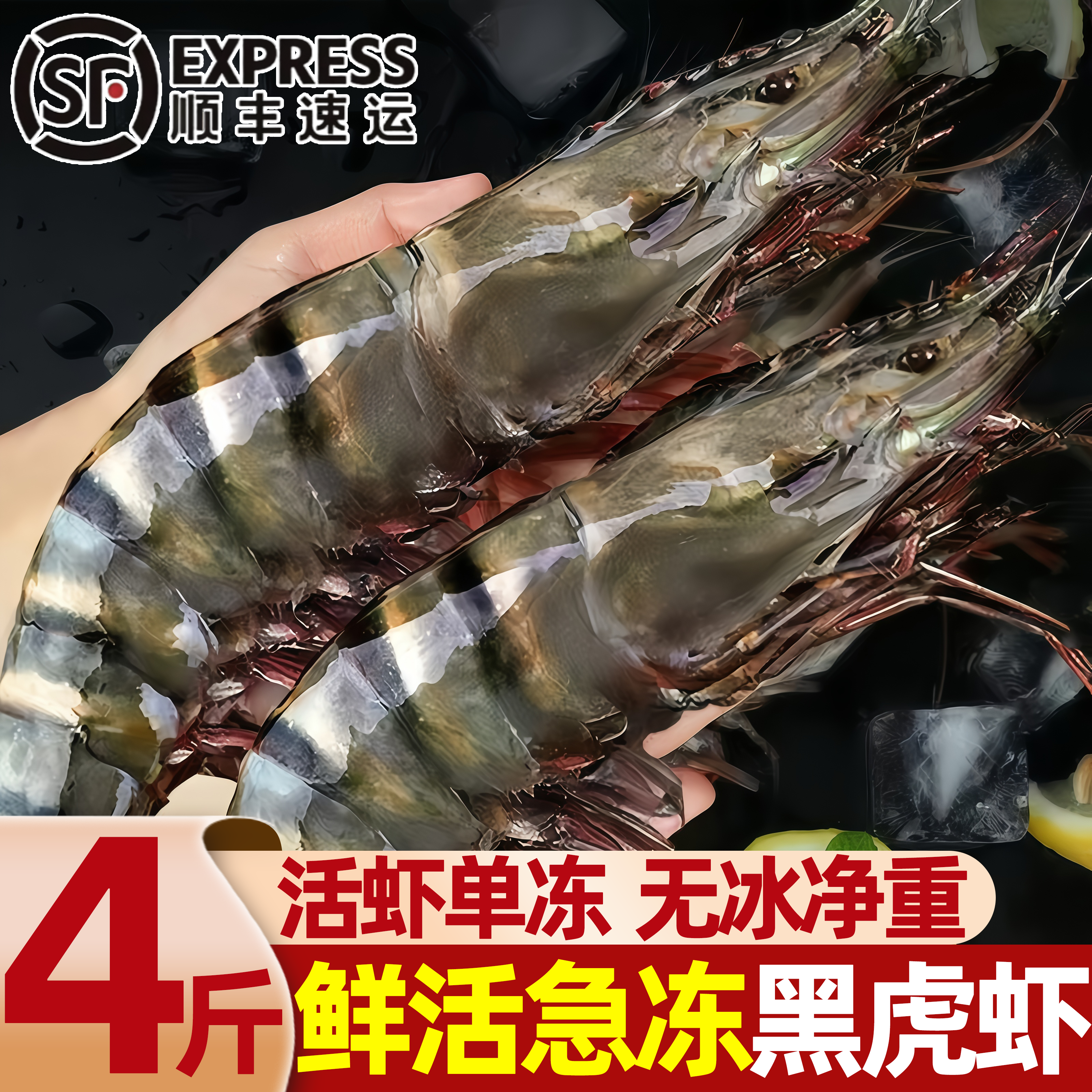越南海捕黑虎虾冷冻无冰