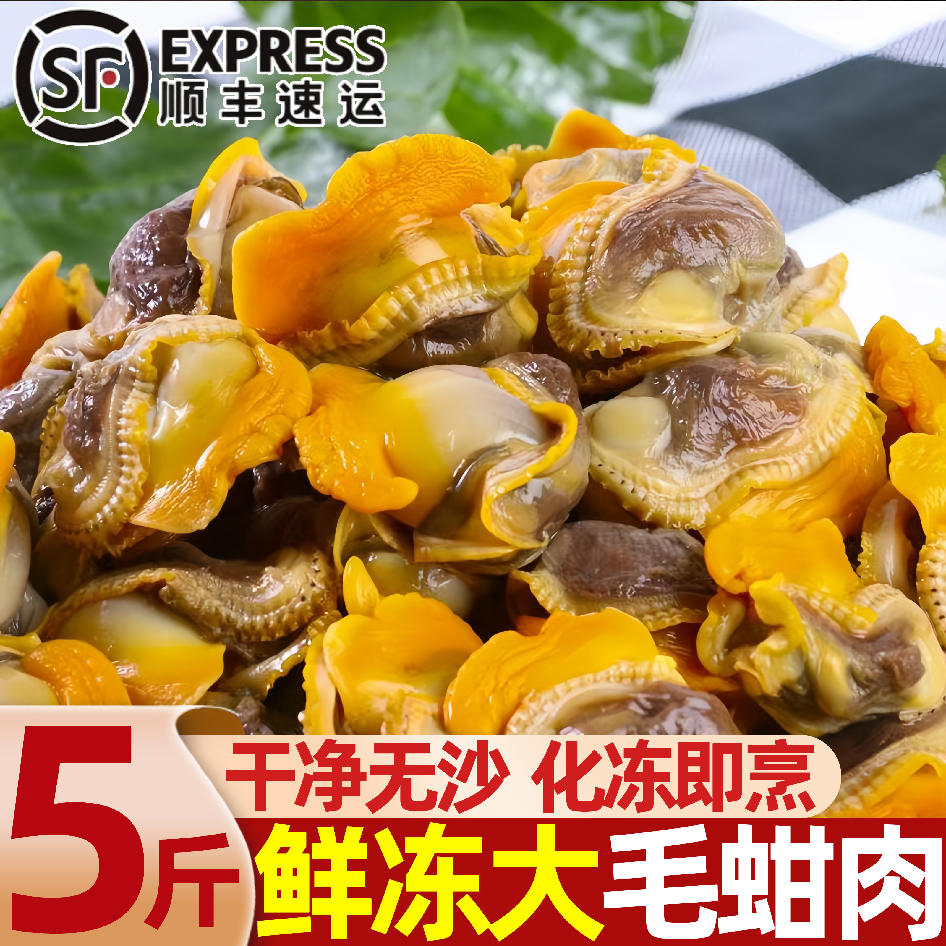 新鲜冷冻无沙毛蛤蜊肉批发