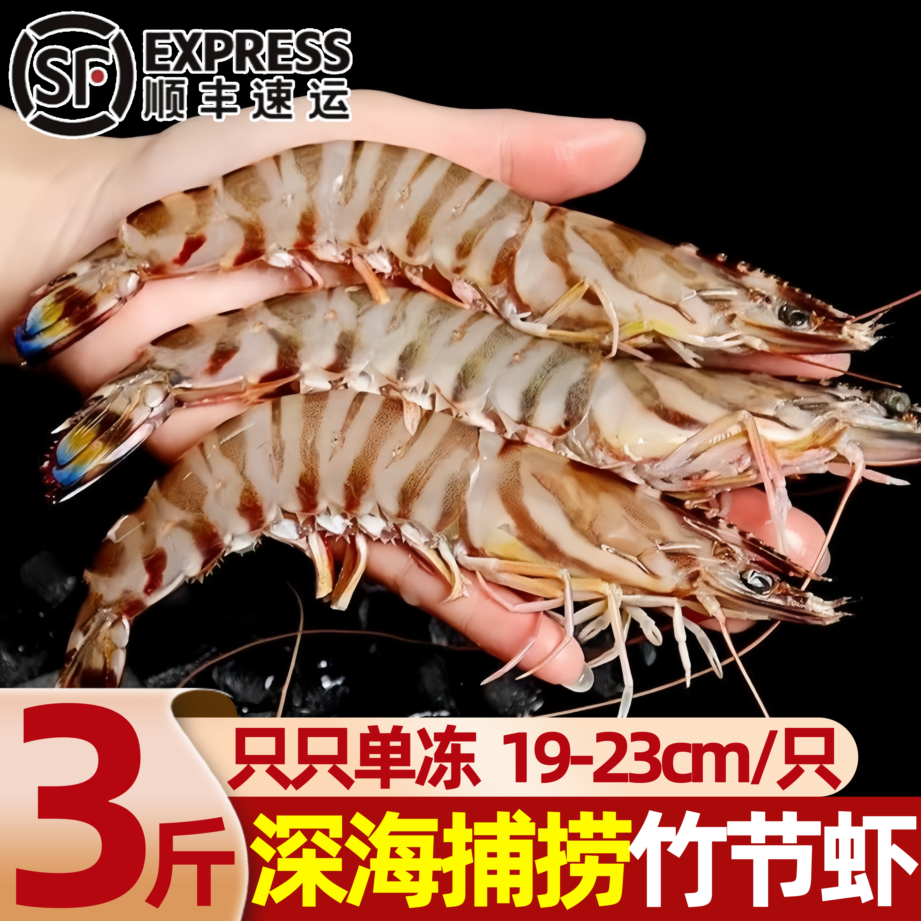 北海野生海捕速冻大明虾商用