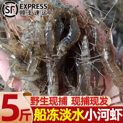 淡水鲜活速冻当季现捕大号河虾