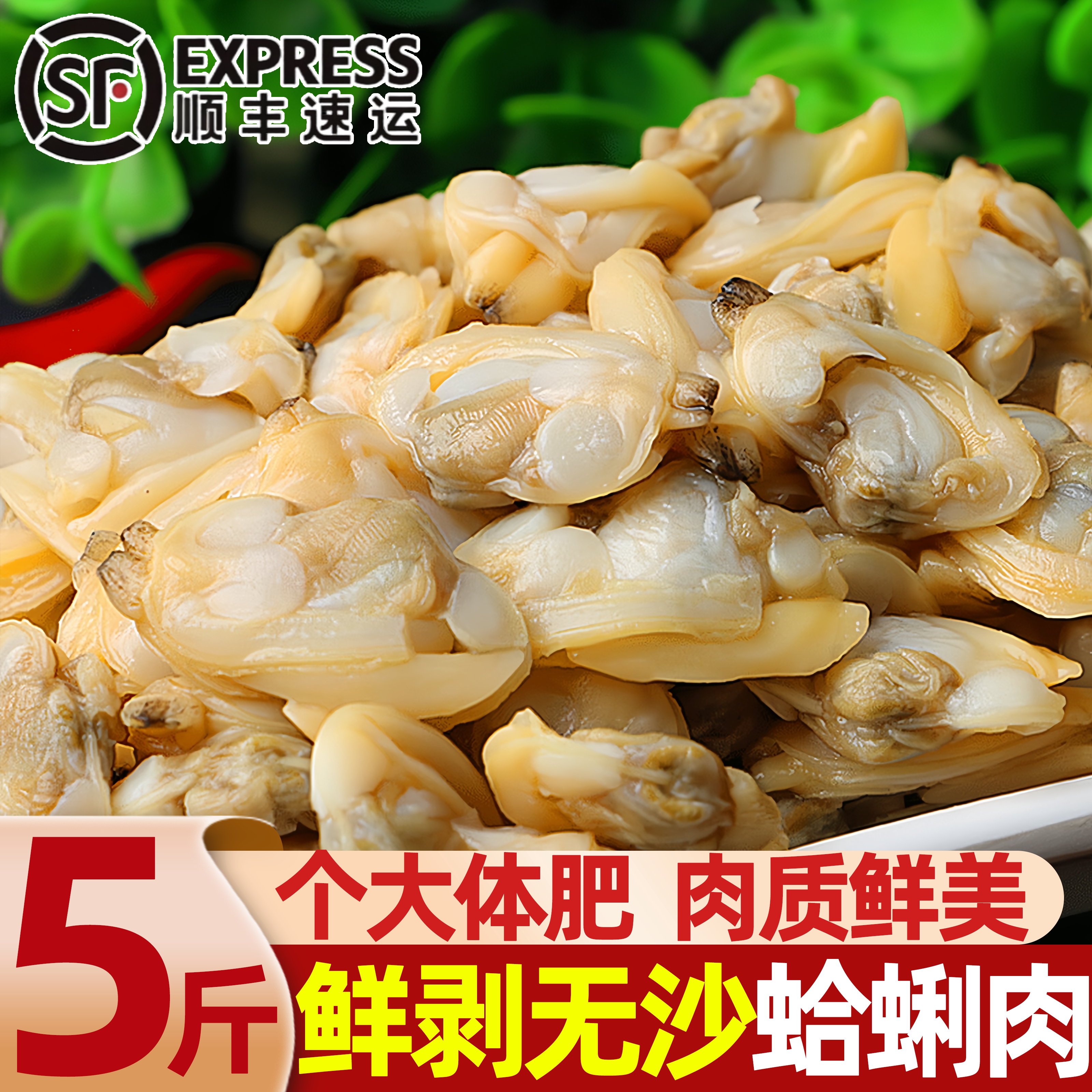 连云港鲜活花蛤黄蚬子肉即食