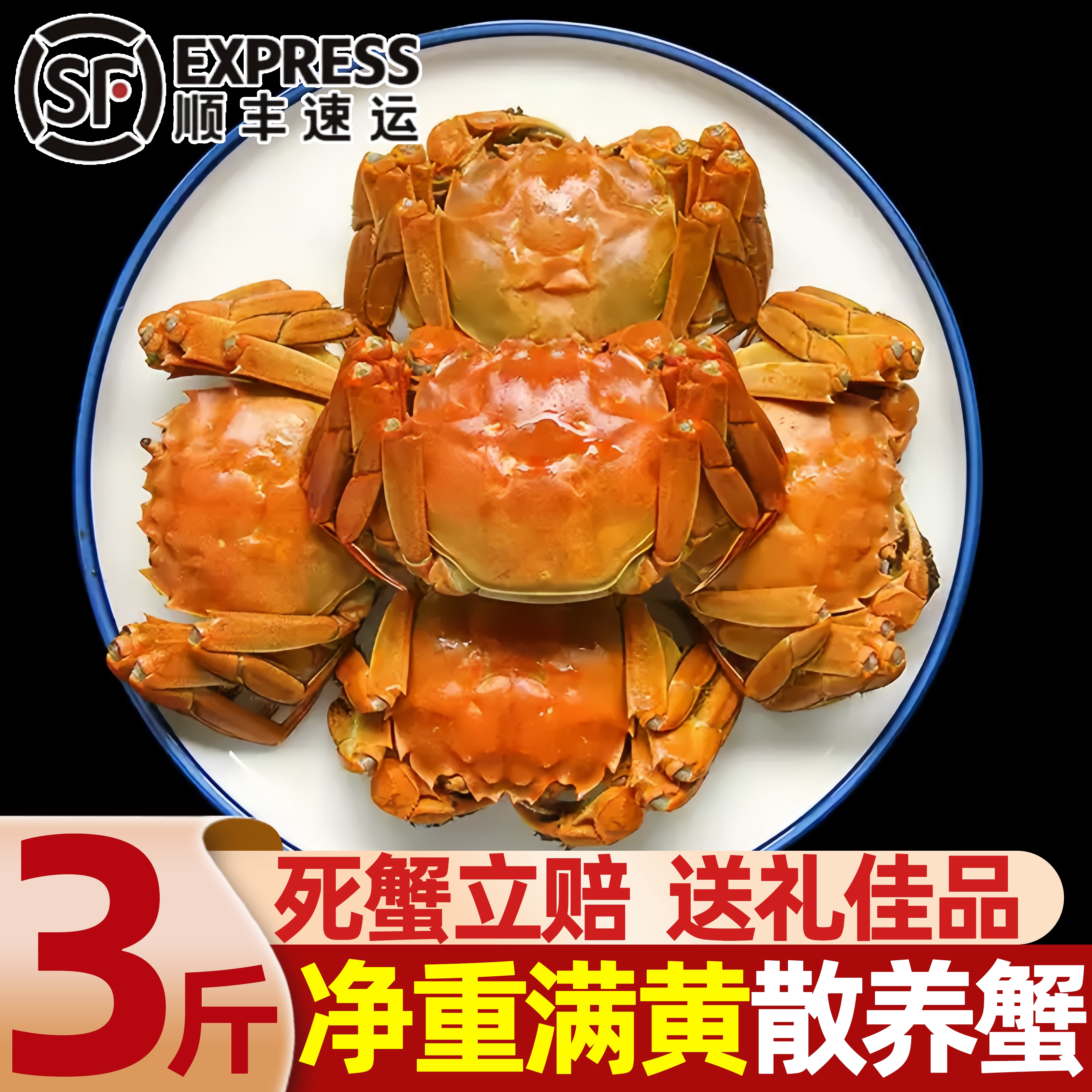 盘锦鲜活大闸蟹批发包邮