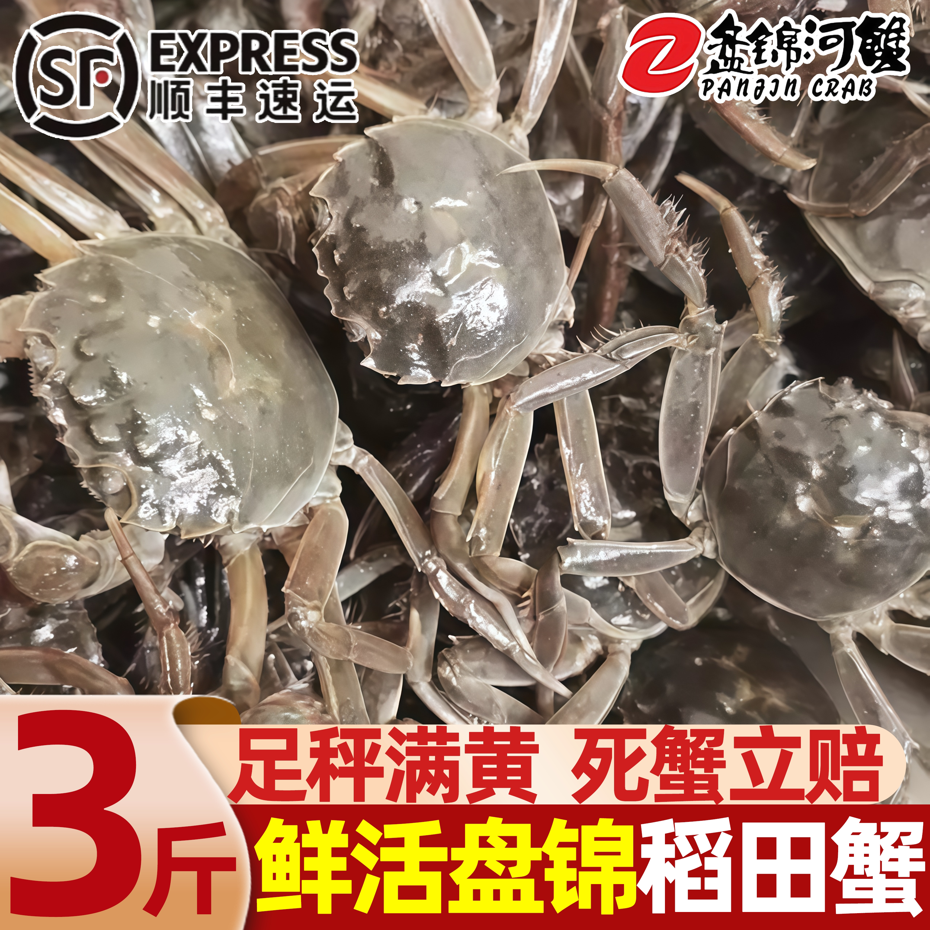 盘锦新鲜大闸蟹礼盒顺丰包邮