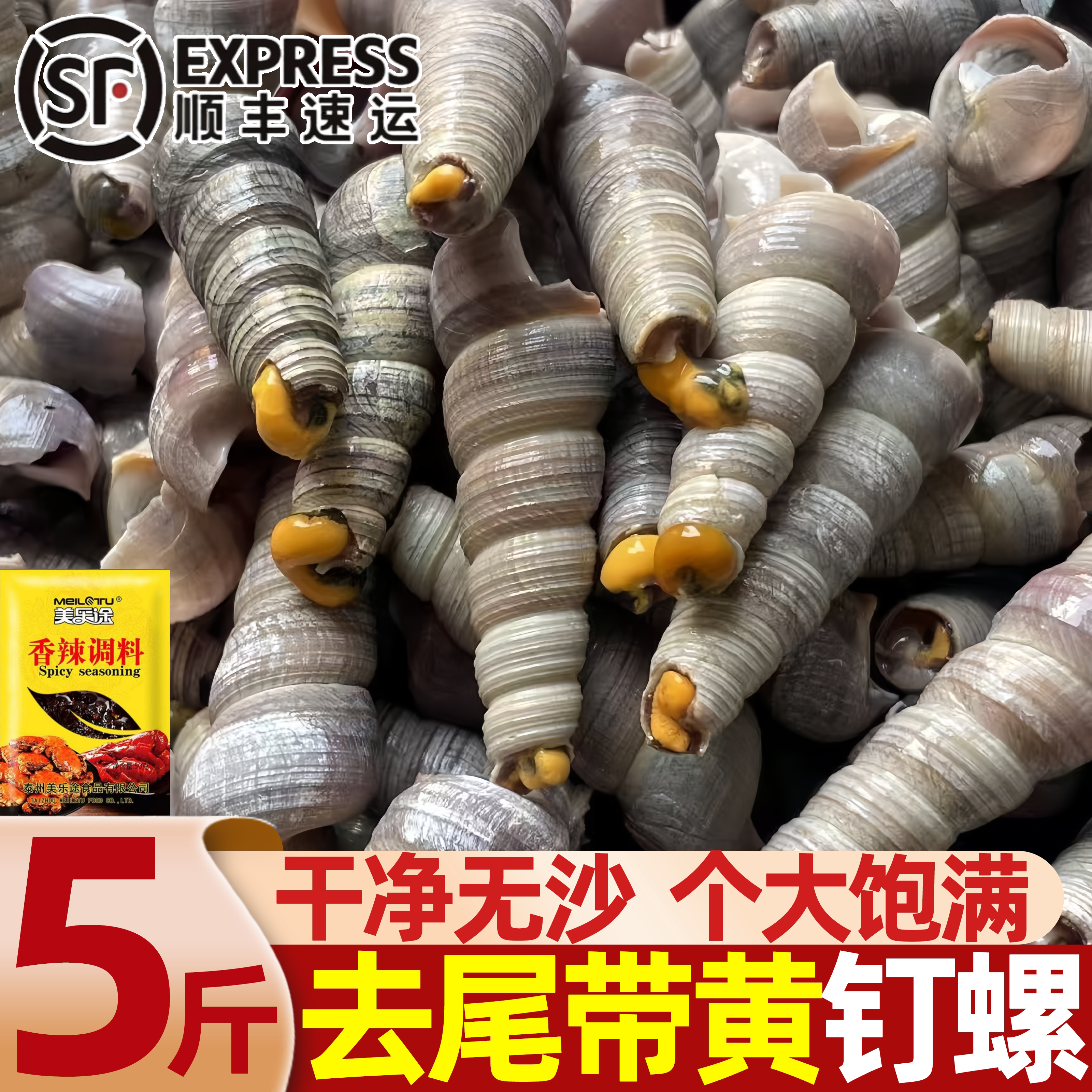 去尾带黄钉螺鲜活整箱批发图片