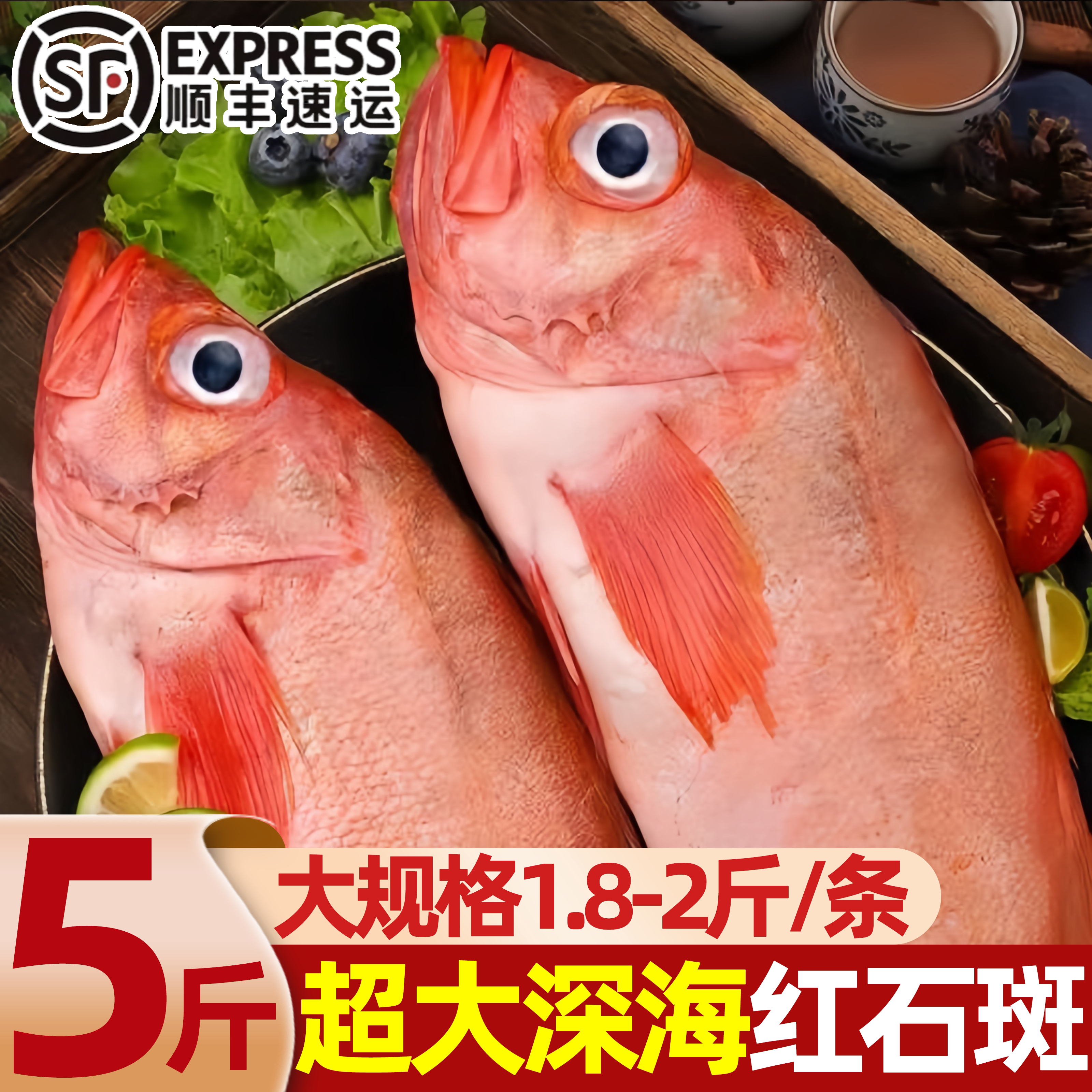青岛红石斑鱼新鲜冷冻包邮