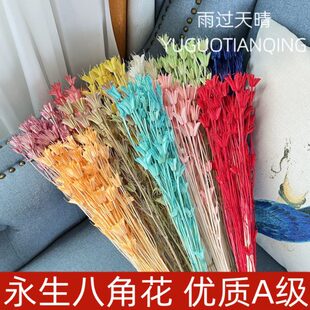 饰品花篮插花家居花 八角花干花森系复古插花材料包自然田园树枝装