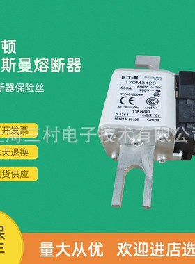 全新原装快速熔断器保险丝170M3112 170M3113 170M3114 170M3115