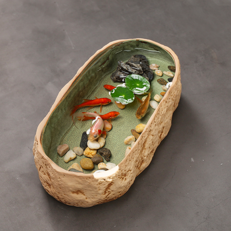 睡莲碗莲无孔水培花盆陶瓷铜钱草生态造景仿石头鱼缸小型装饰盆景