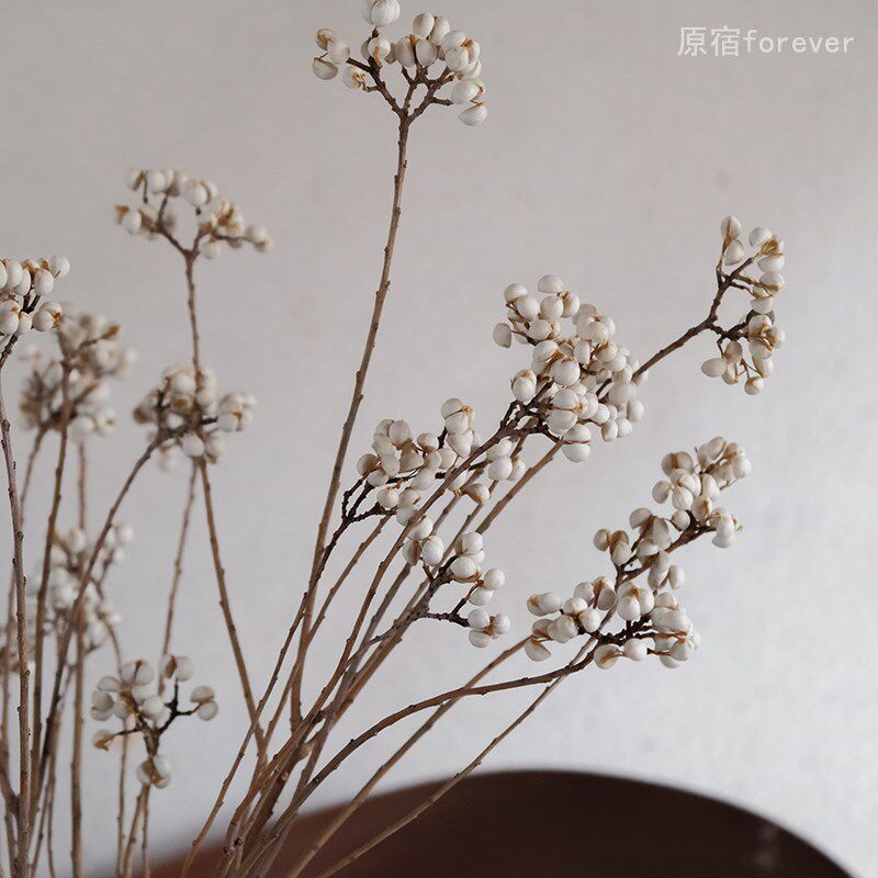 天然风干野生f小白果干花家居民宿树枝装饰干果创意花艺拍摄道具