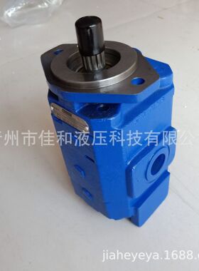 P7600-F100N0367   6G泊姆克齿轮泵