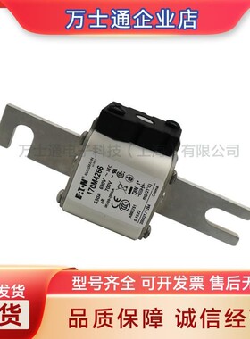 170M4008/4009/4010/4011/4012/4013/4014/15/16/17/18/19熔断器