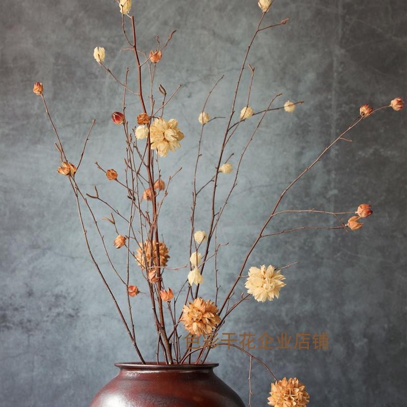 优选客厅玄关装饰干花干支天然枯真树枝现代欧式中式高大落地花瓶