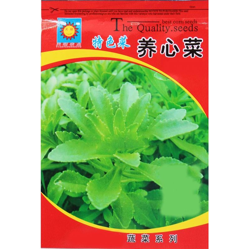 养心菜救心菜救心草高钙菜景天三家庭园艺种子