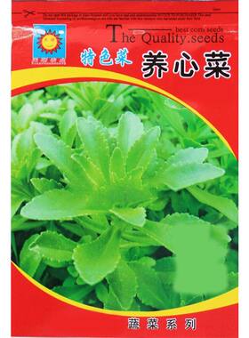 养心菜救心菜救心草高钙菜景天三七费菜种苗种子茶粉新鲜野生蔬菜
