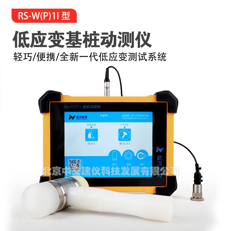 武汉岩海RS-W(P)Ⅱ低应变基桩动测仪