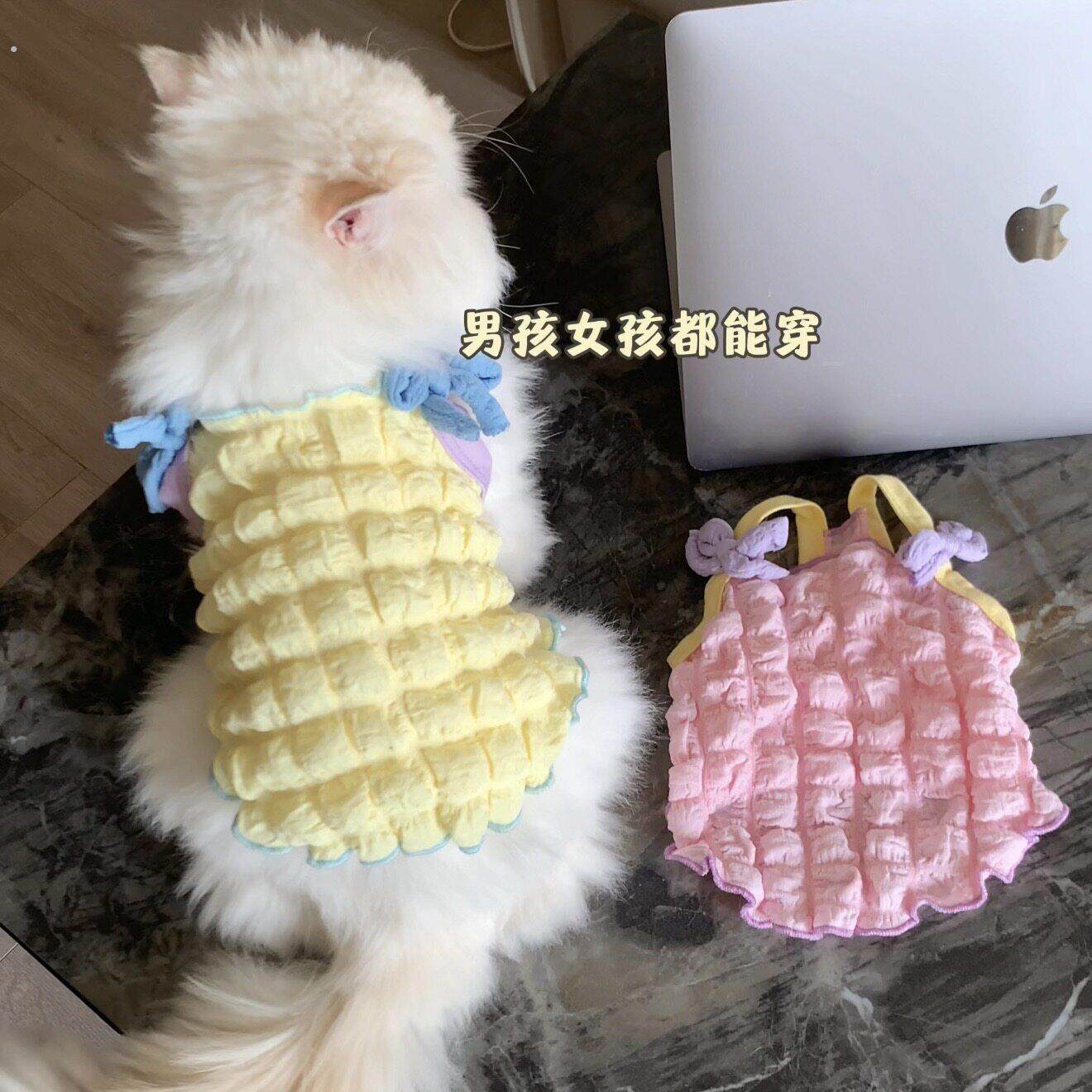 26春夏猫咪马卡龙撞色菠萝格泡泡蝴蝶结吊带防掉毛狗狗背心小型犬