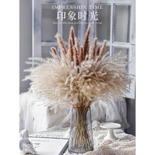 芦苇拂尘蒲苇干花花束真天然ins家居装饰摆件diy网红摄影橱窗道具
