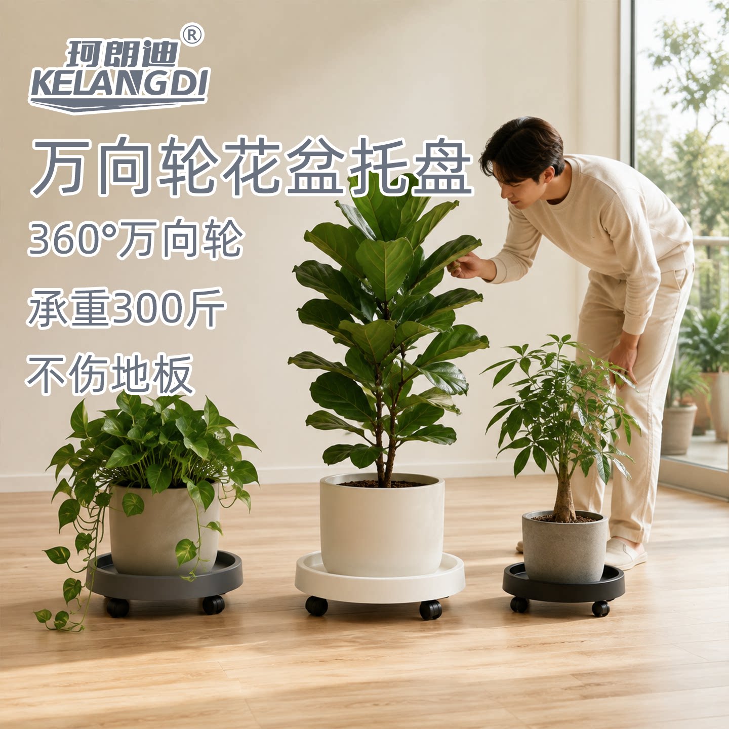 珂朗迪移动花盆托盘带轮底座图片