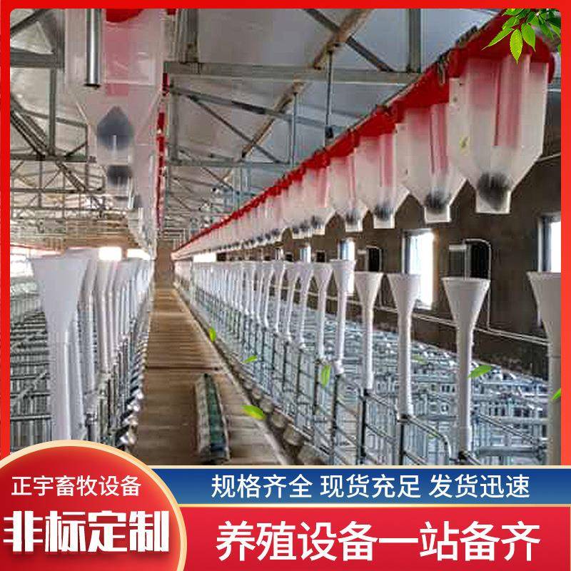 猪舍全套料塔料线设备全自动养殖输送喂料系统猪场塞盘料线自动化