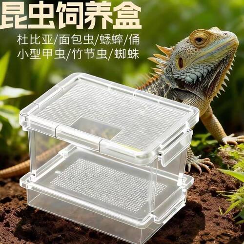 面包虫滤屎饲养箱防臭防潮杜比亚
