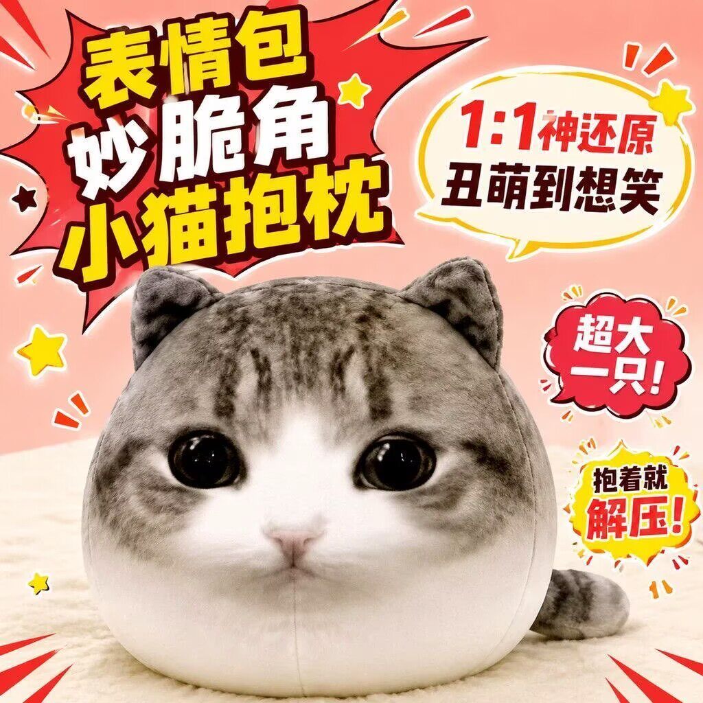 爆款妙脆角网红小猫搞怪