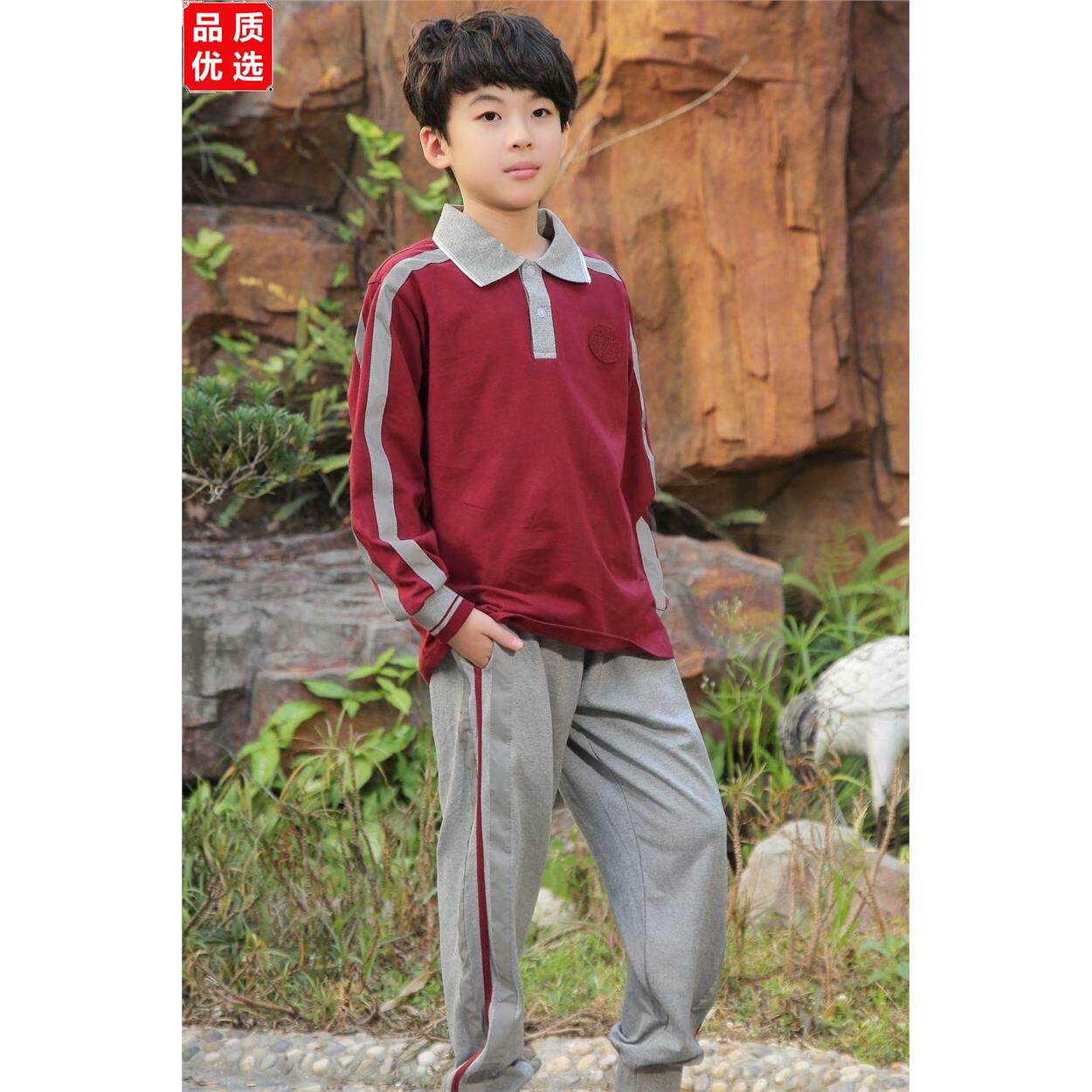 东莞市凤岗镇小学生统一