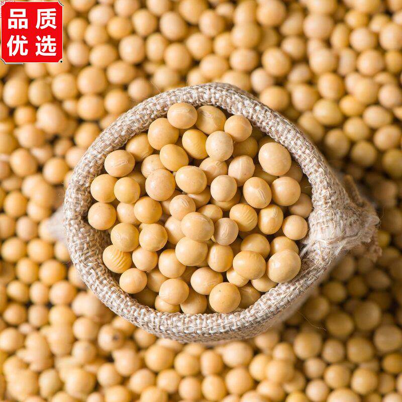 5斤黄豆优选东北黑龙江高