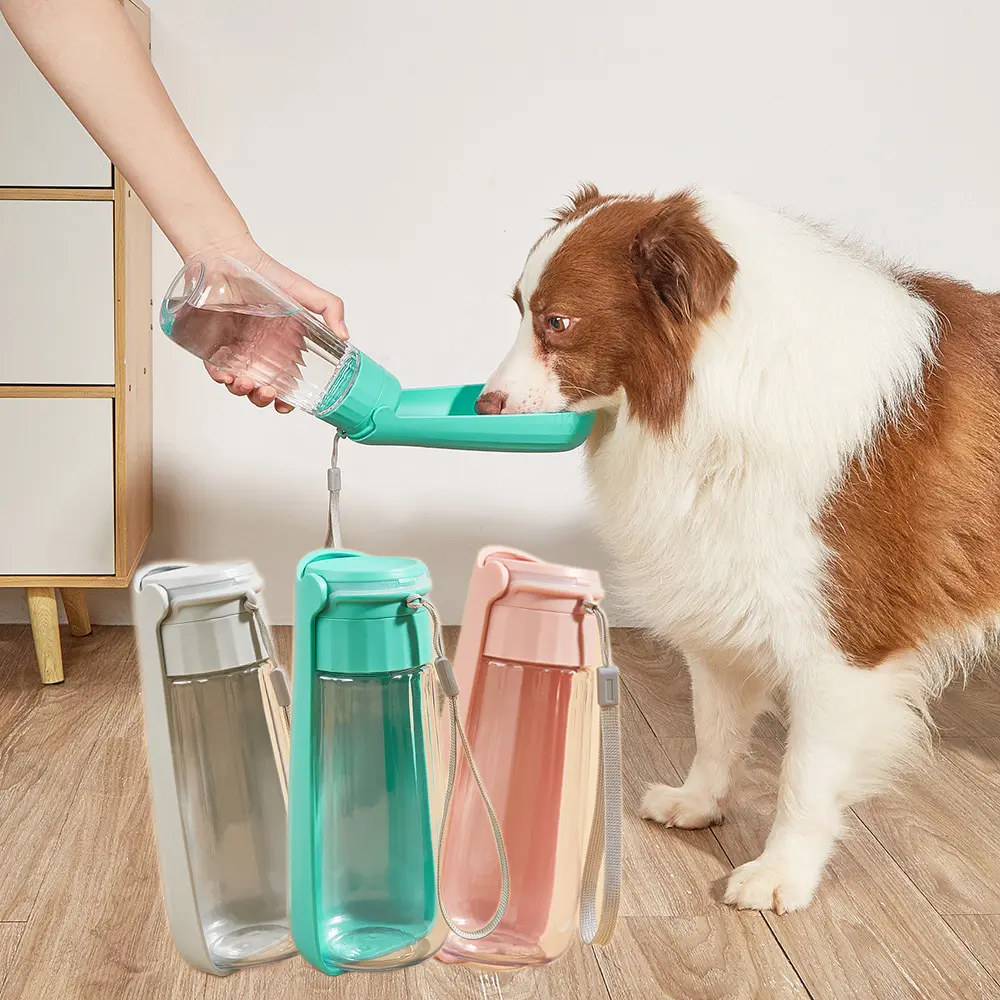 宠物狗狗外出饮水器户外水瓶