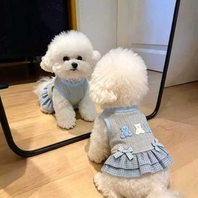 狗狗衣服春夏新款可爱小熊蝴蝶结