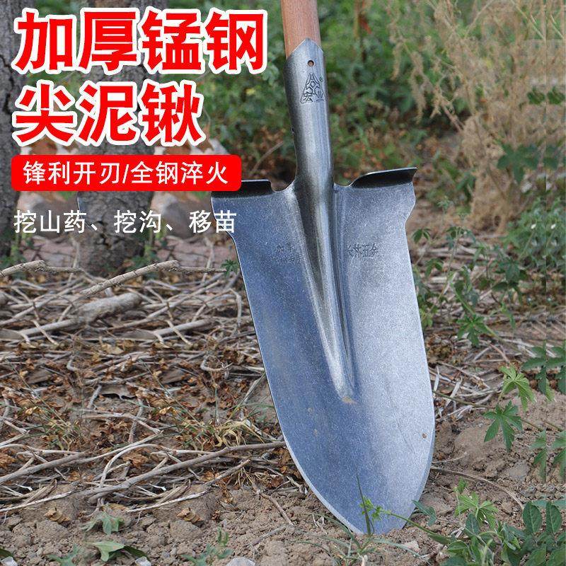 锰钢淬火加厚起树锹挖树铲子尖锹高硬度锋利开刃挖小树挖沟专用锹,农机/农具/农膜,铲子,淘宝优惠券,粉丝福利购,淘宝优惠卷