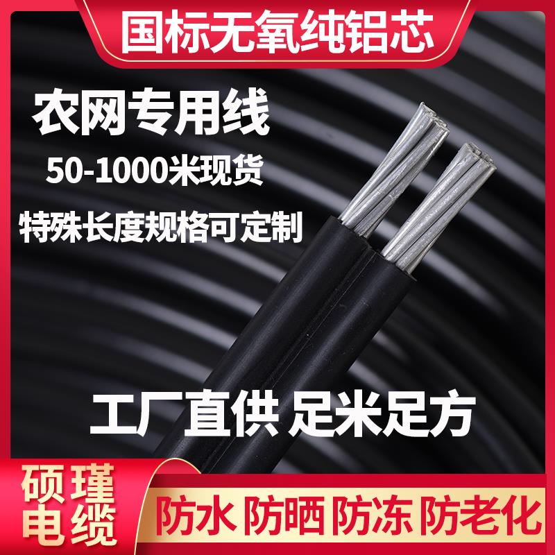 室外防老化电线家用电源线两芯铝线国标16/10平方毫米农网进户线