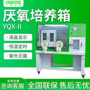 II厌氧生物培养箱 上海YQX
