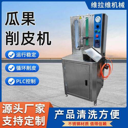 柚子削皮机瓜果去皮机全自动削皮机厂家