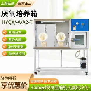 HYQX系列实验室厌氧培养箱厌氧生物培养箱