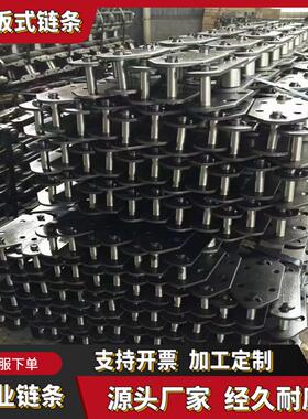 非标NE100板式链条 提升机NE50NE30板链FU系列NE15板式输送链条